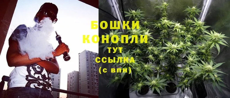 Конопля Bruce Banner  мега ONION  Медвежьегорск  где продают наркотики 